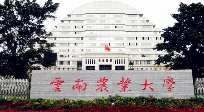 |毕业生进卷烟厂，需要满足哪些要求，中国烟草应聘指南送给你