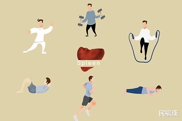 葛优躺|古语云，“脾主长夏”，夏季养脾误区多，要注意什么？