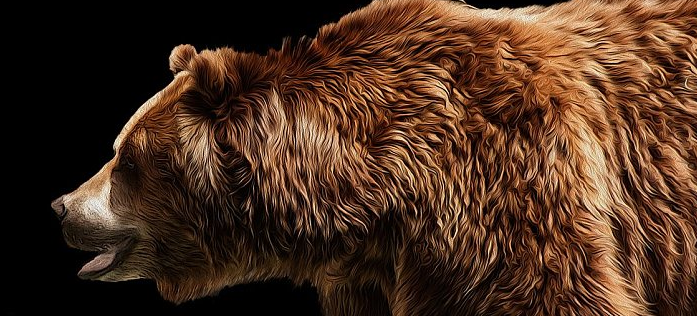 天下秀|八个主要的哺乳动物特征