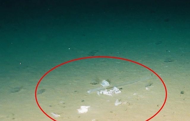 科学家 马里亚纳海沟深处，科学家发现不该看到的“东西”，人类要警惕！