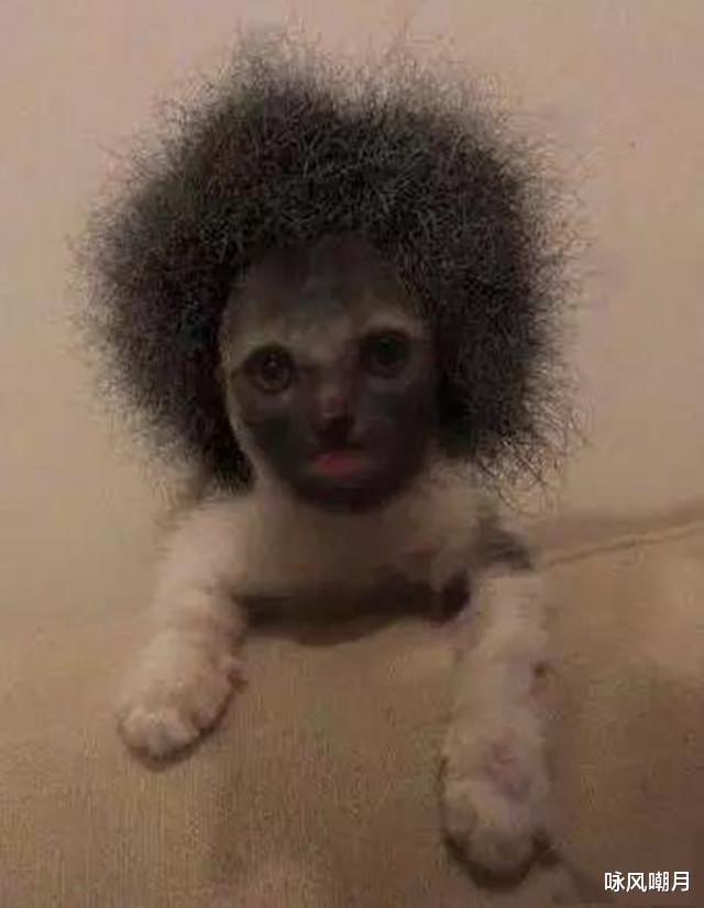 摄像头 偷偷在家安装摄像头，发现女友背着我干出这种事，我还能娶她吗？