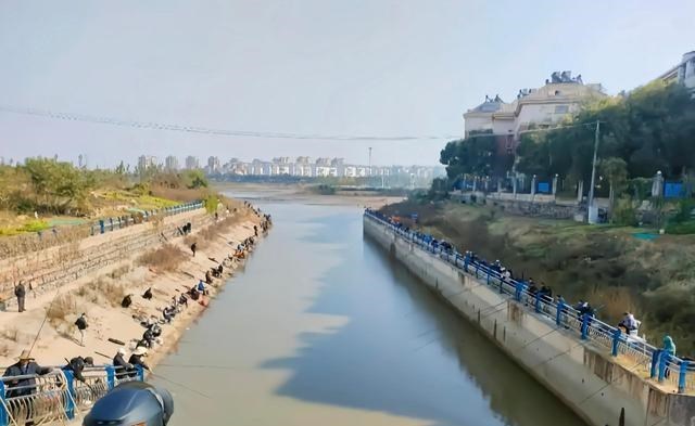 |钓鱼人有多“猛”？只因发了个视频，结果位置被“清塘”了