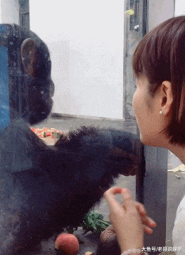 景甜|“易孕体质是种什么感觉？”三观无法令人苟同！哇哈哈哈哈～