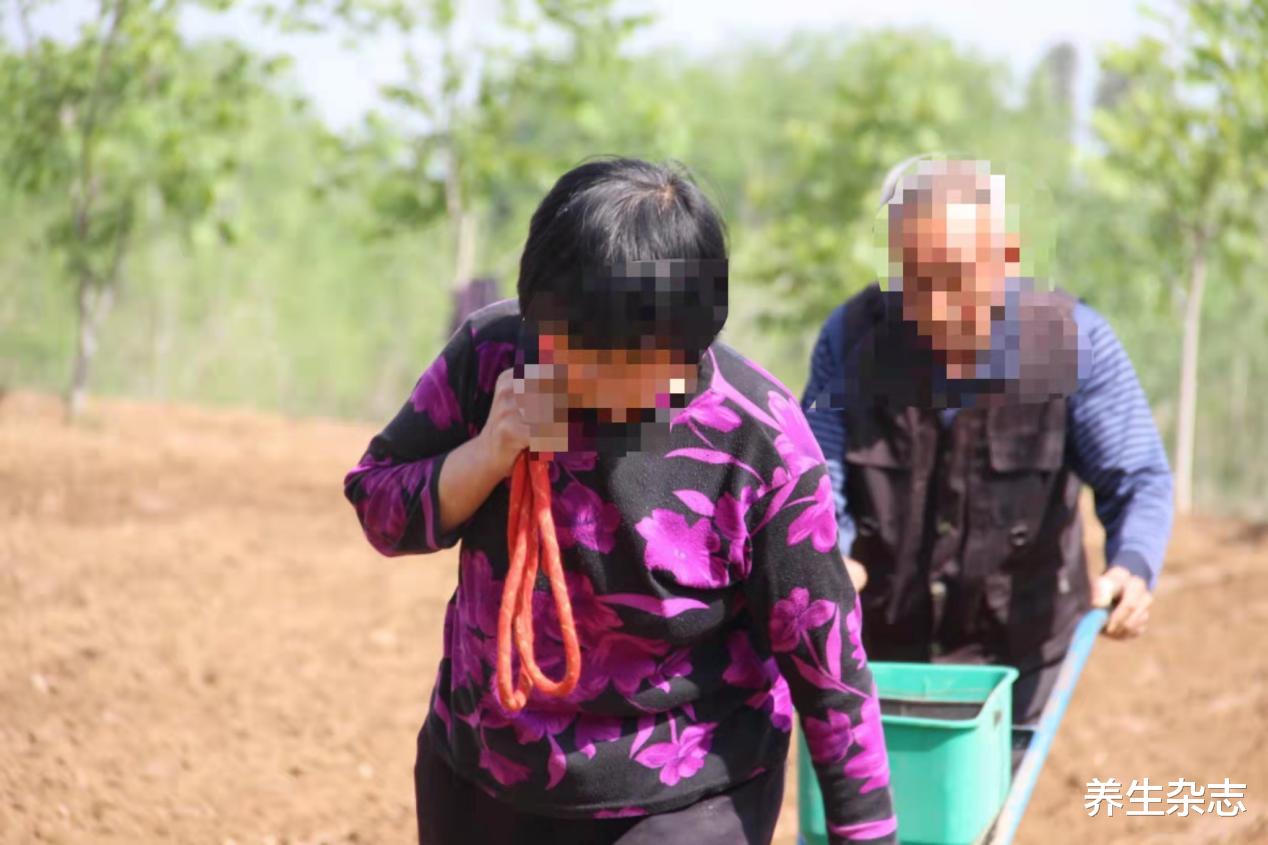 肝癌|多家医院联合声明:1“绞肉机”或是肝癌的“诱发剂”,尽早丢掉