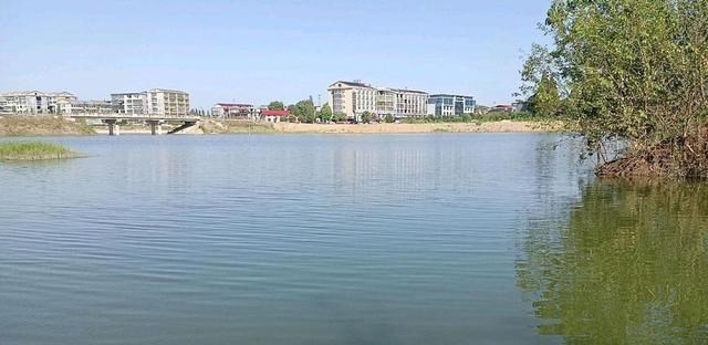 鳑鲏|江苏一男子钓鳑鲏钓上大鳜鱼，网友：新手大礼包