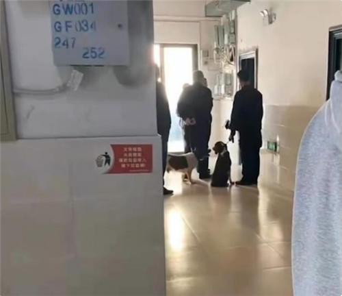 安徽一女学生宿舍生子,将婴儿从6楼扔下坠亡,嘴里还塞着布条