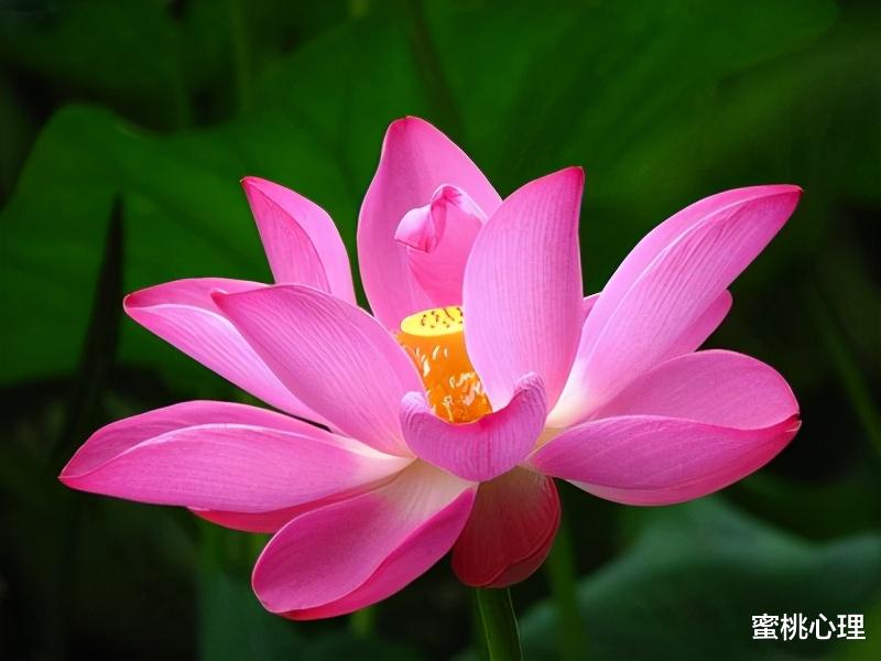 蜜桃心理|人到中年，越是不顺，越要远离身边这些亲戚