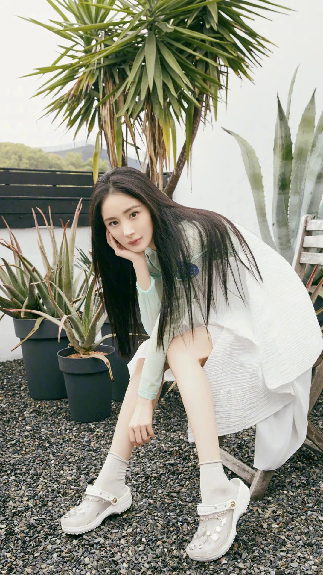 杨幂|明星壁纸杨幂壁纸