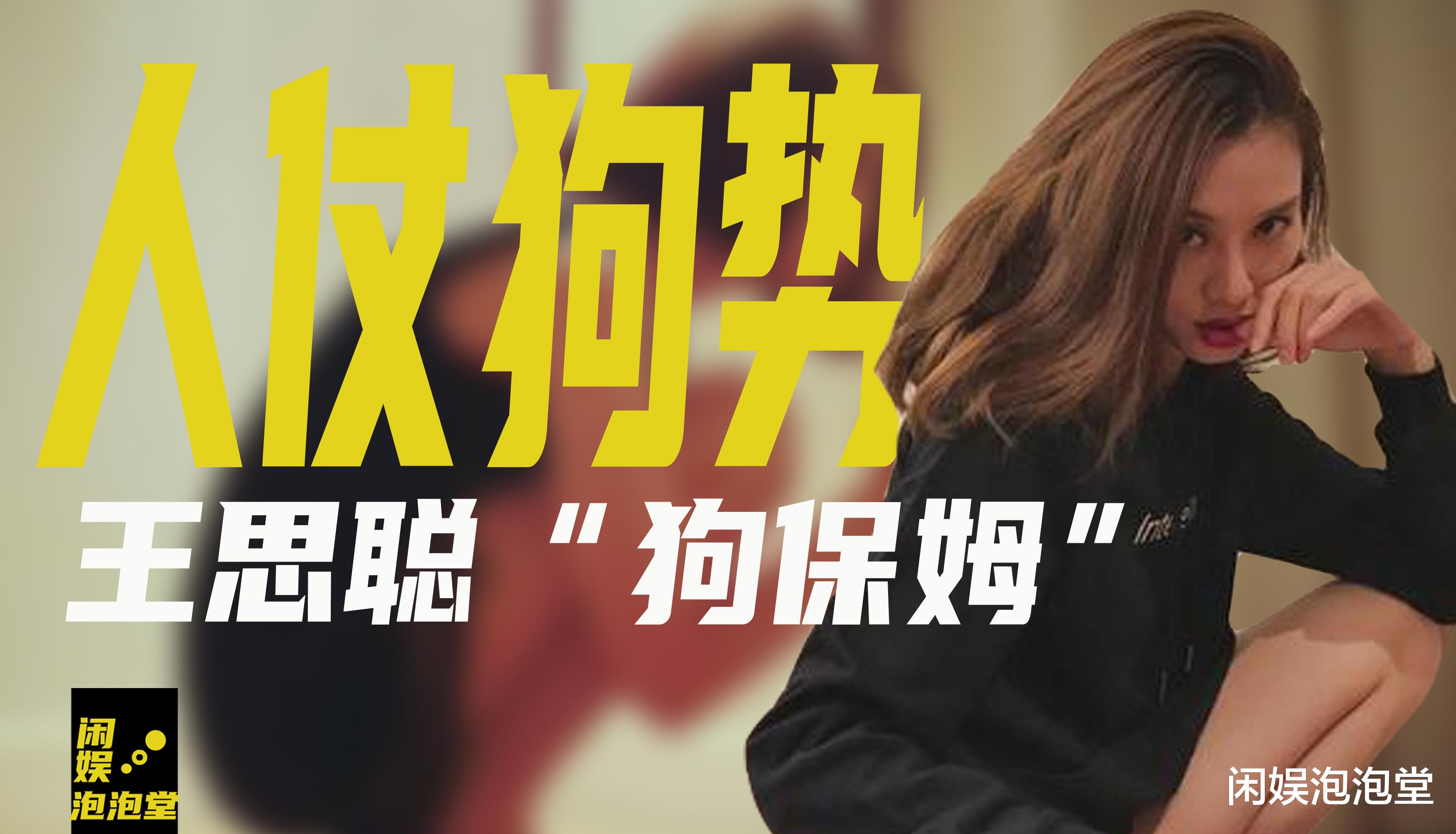 赵子易|“狗保姆”熬走多任女友,人仗狗势的赵子易,和王思聪是啥关系?