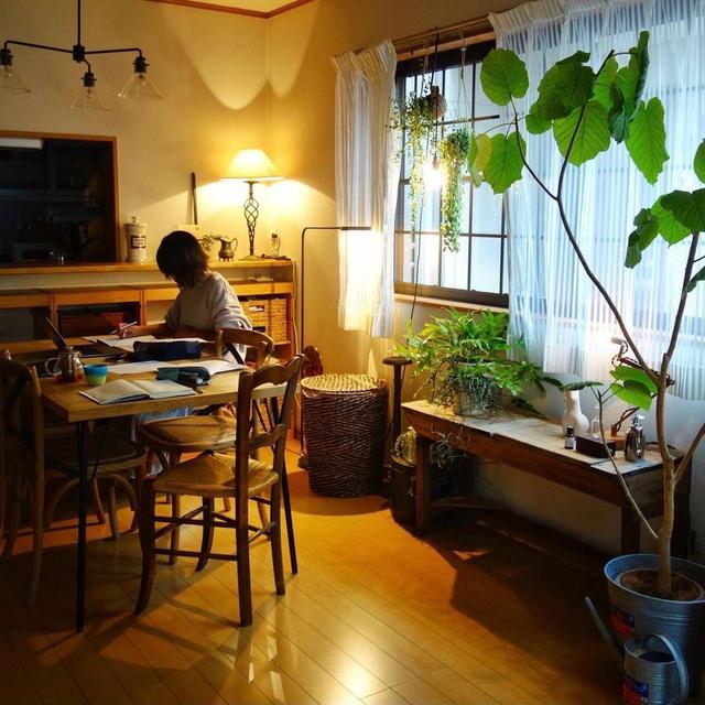 |53岁日本阿姨晒家居生活照：全屋温暖治愈，唯美的堪比电影场景！