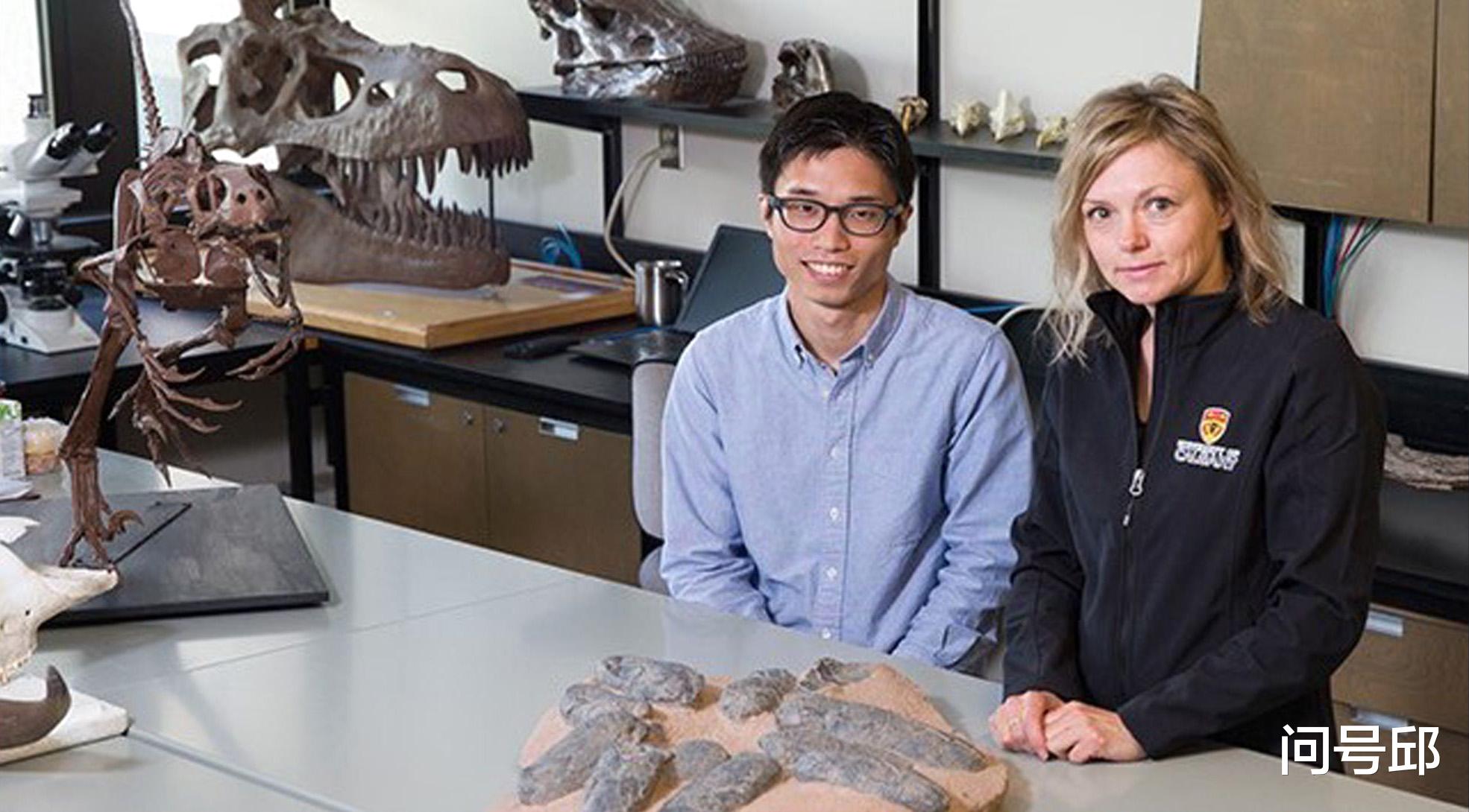 基因 乌兹别克斯坦发现9000万年前巨型恐龙化石,体型超过霸王龙