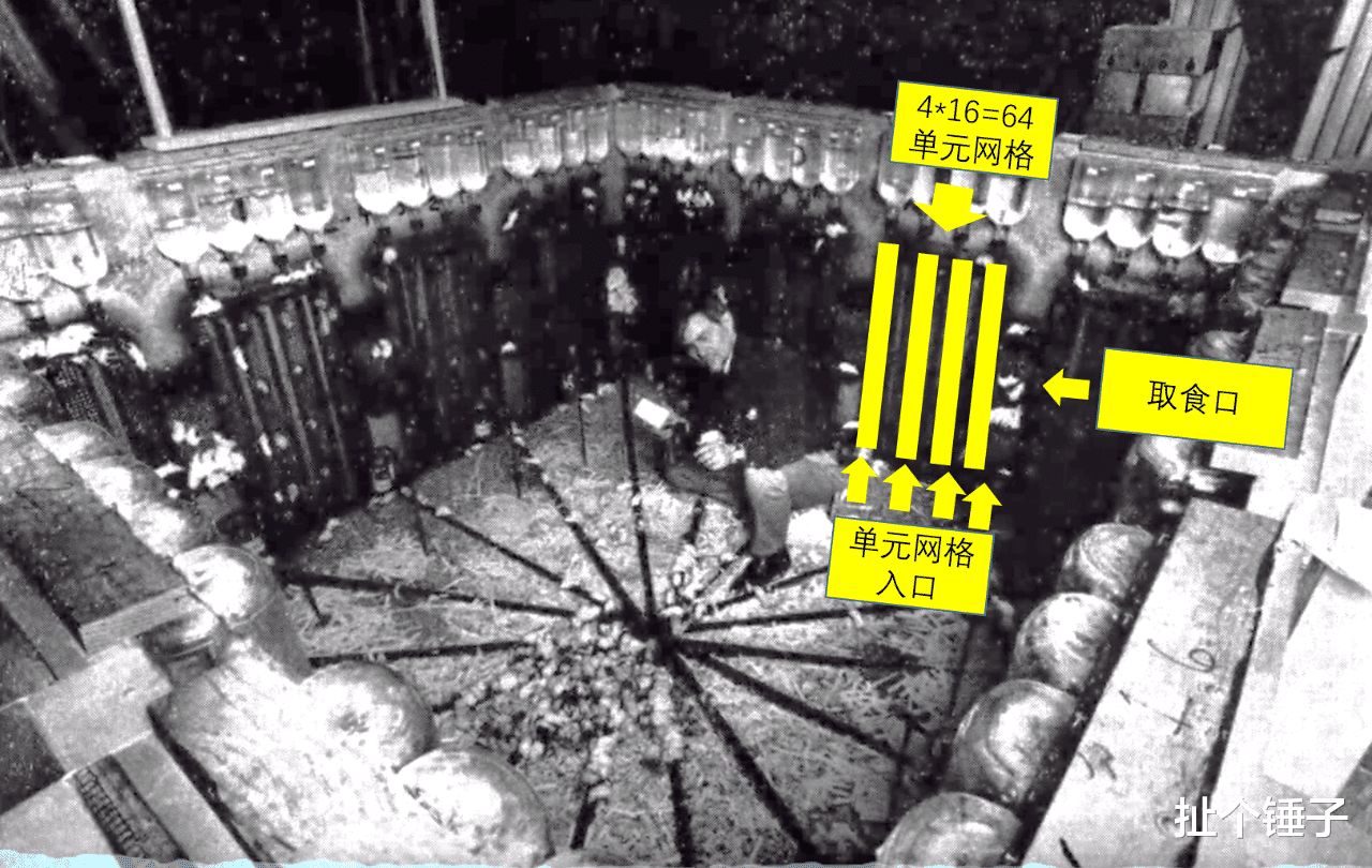 扯个锤子 预言了人类结局的实验——老鼠乌托邦