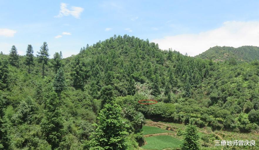 金星|论金星开窝结穴，怎么判断是否开窝？