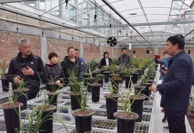 星耀见闻 卢氏旅游春意浓,人气旺