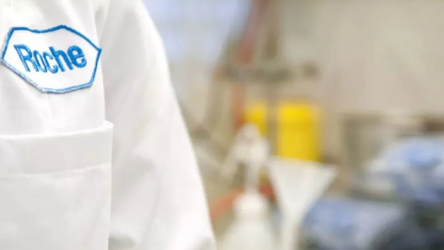 加密货币|国土仅重庆50%，人均GDP却超8万美元，拥有14家世界500强，凭什么