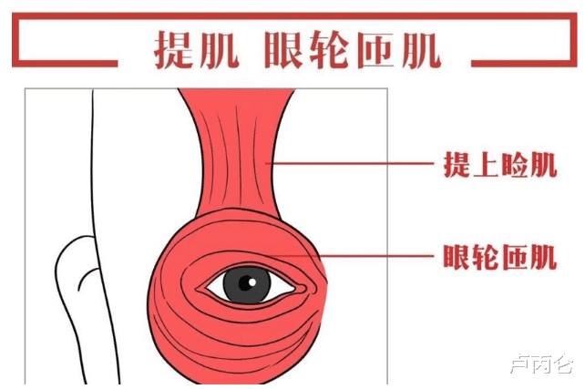 卢丙仑|注射肉毒素之后睁眼费劲是怎么回事？