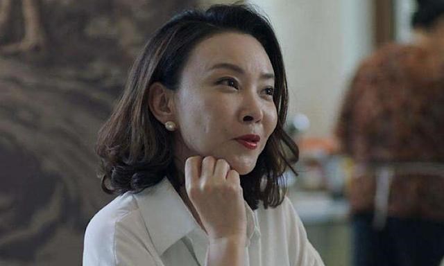 整容|全剧整容脸拉跨了《不惑之旅》口碑,导致梅婷天然脸反而是另类