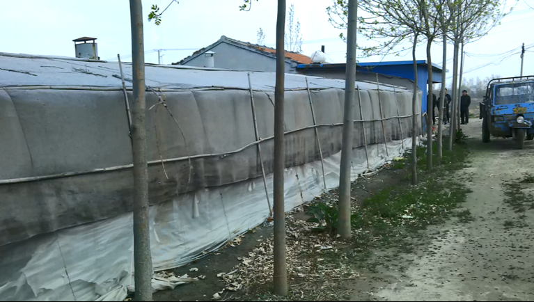 智慧庆云 巡河常态化，水域生态化——庆云：河长制迎来“河湖美”