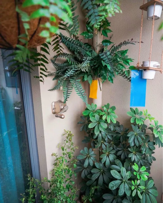 5㎡阳台小花园，一个超治愈的居家休闲空间