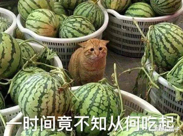 吴亦凡|没人能永远十八岁，除了他的女朋友？