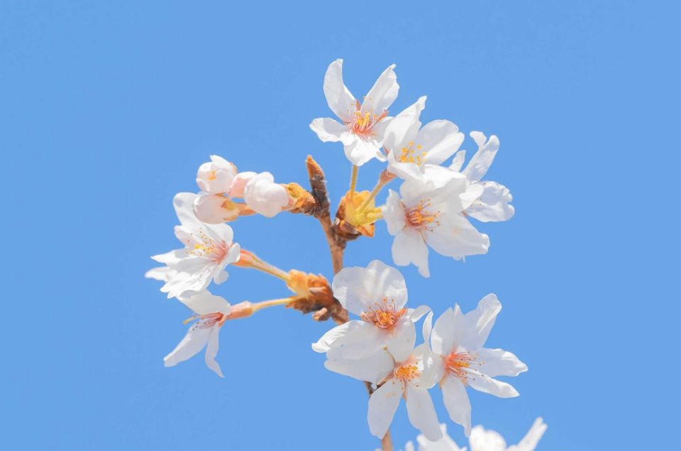 赵名辉塔罗 赵名辉塔罗牌测试：他为什么不来找我？