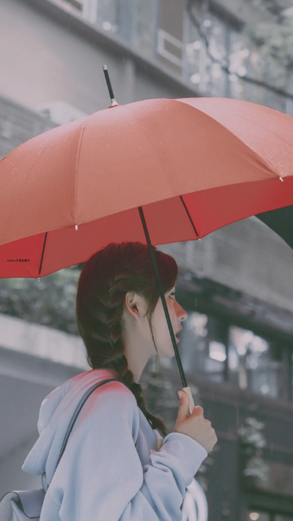 张艺兴|明星壁纸张予曦高清壁纸