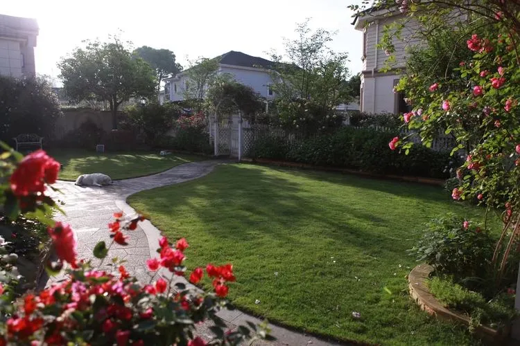 |买了别墅花园房，用5年时间，亲手设计打造400㎡别墅花园，太美了