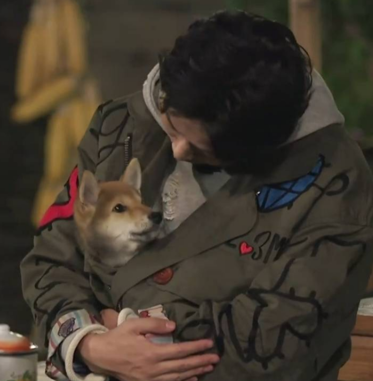 向往5|《向往5》拍摄地被网友剧透，得知在哪时：这下省事多了！