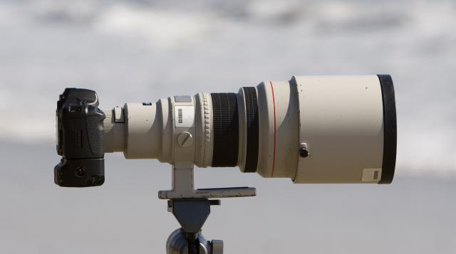 行星秘闻|拍鸟,APS-C画幅相机有等效焦距优势,真的比全画幅相机更好吗?