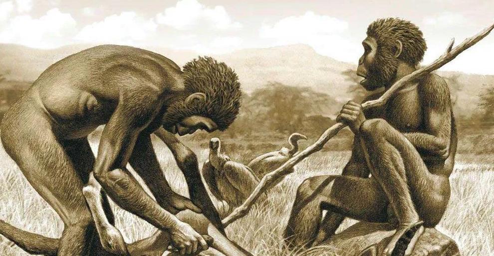 黑猩猩 猩猩与人的杂交实验，5名人类女性为科学献身，实验成功了吗？