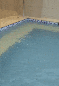 萌萌萌说|给你500万，但你在一年之内必须完成下面一个任务，你会怎么选？