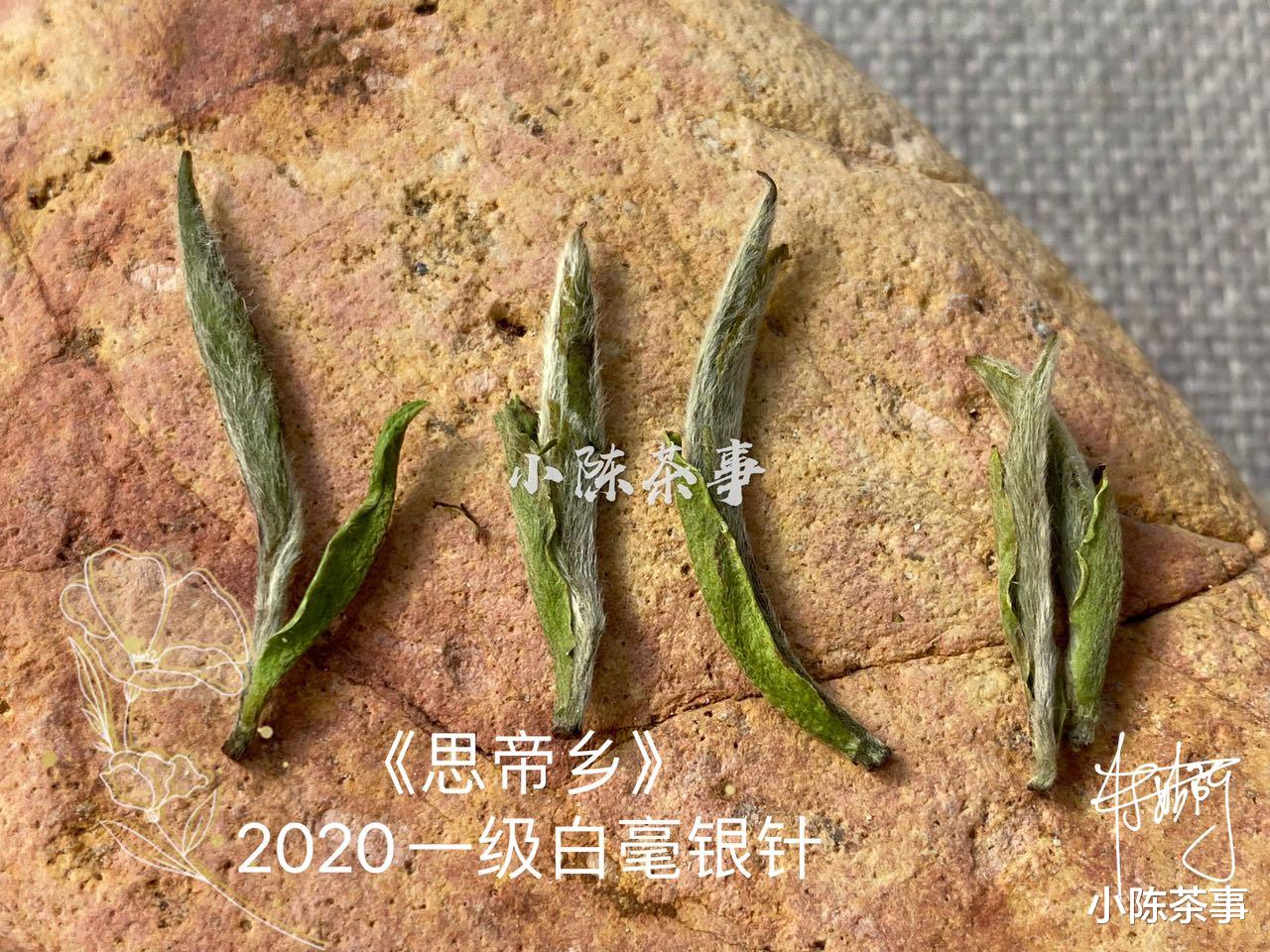 寿眉|新手第一次买白茶，选什么比较好？白毫银针、白牡丹还是寿眉？