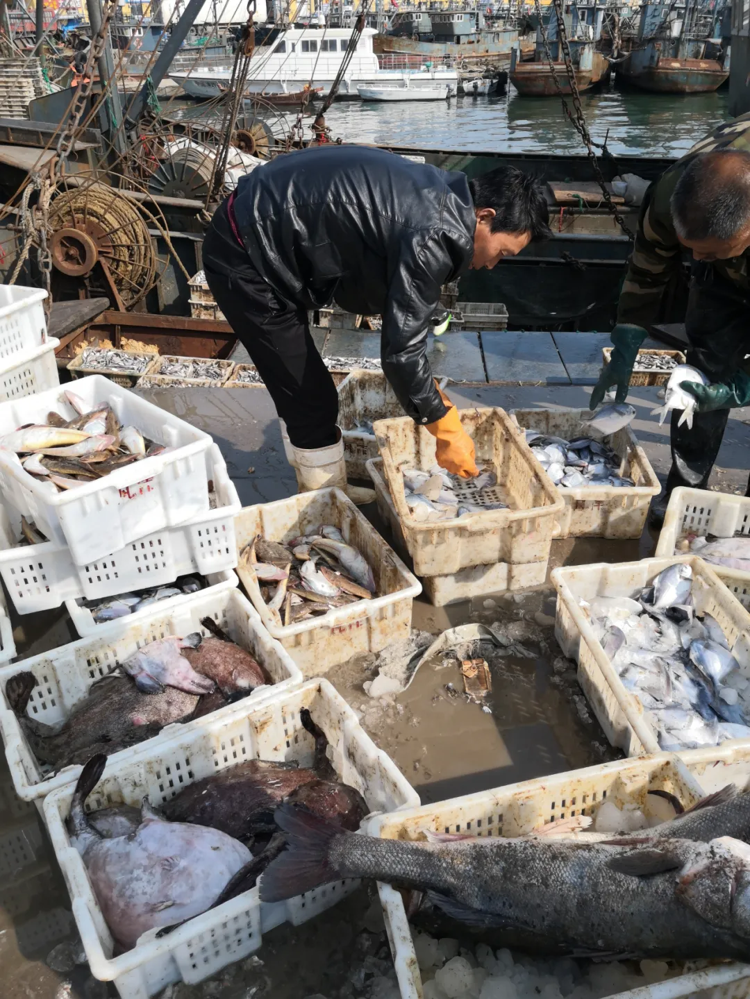 半岛晨报 大连首次！空中执法！