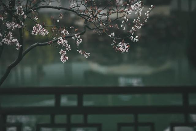 情感说心事|七夕，送给今生最爱的人