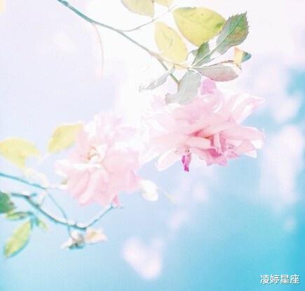 凌婷星座|你若离去，后会无期，下降天秤座的宿命感情，劝你好好珍惜