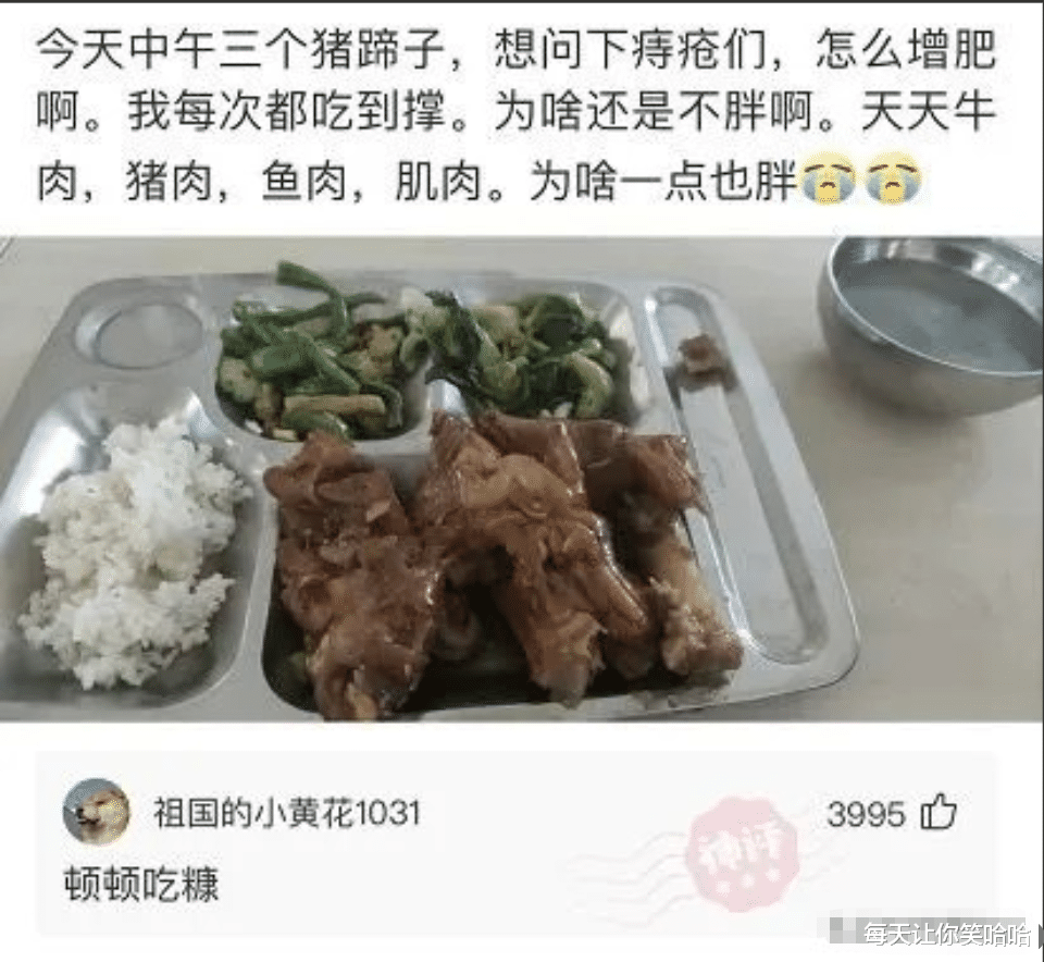 神回复|神回复：一觉睡醒发现自己是一线明星，你会先做什么？神评绝了