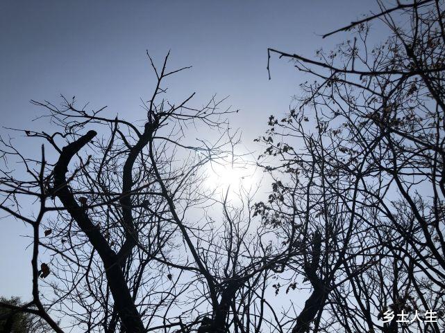 老人说:今年冬季是“少商在上,寒水在下”,啥意思?有啥预兆?