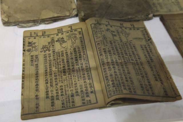 黄体酮|四味药当“零嘴”吃,把阳气找回来,阴阳双补