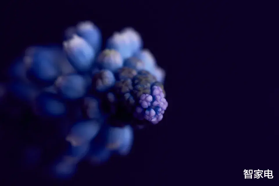 5G|冬奥会催生大屏电视商机, 5G+8K将是最大赢家