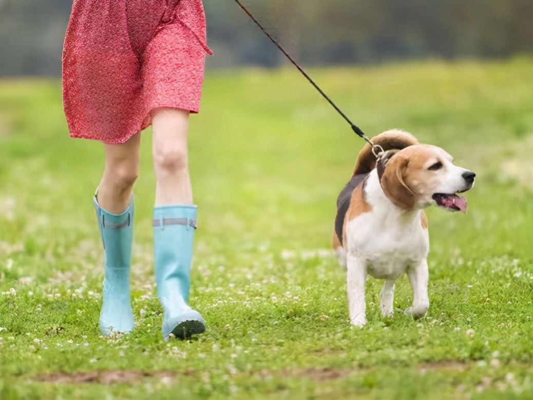  男子遛狗不拴绳，被劝阻还理直气壮：我公安局有朋友！