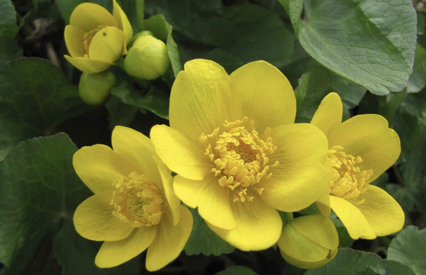 生肖夜梦|8月中旬，年少轻叹，辜负了年华，爱情初遇，寂静了时光，3生肖坠入爱河