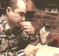 动物庄园|外国网友：“我买了一条挂画，大家帮我看看上面写的是什么意思呀？”