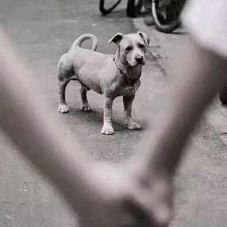 金·卡戴珊|疯了！卡戴珊又被绿了！TT又出轨了啊！出轨对象是她......