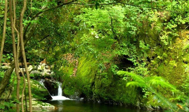 陕西 陕西一处4A级景区，风景秀媲美九寨沟，门票仅55元，游客络绎不绝