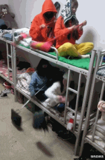 “终于相信有美人鱼了,这具骸骨,就是最好的证明!”