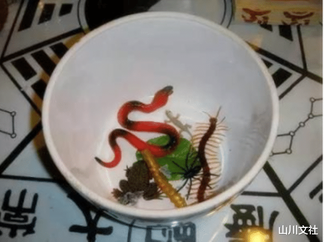 昆虫|“蛊”究竟有什么用？为什么历朝律法对养蛊行为的处罚如此严重？