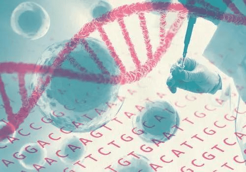 免疫细胞 中科西部干细胞研究院：一文读懂干细胞与免疫细胞