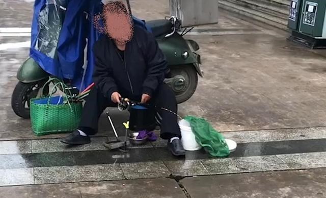 |马路上巴掌大的排水洞钓鱼？没错，一钓就是一桶！钓到大鱼咋办？