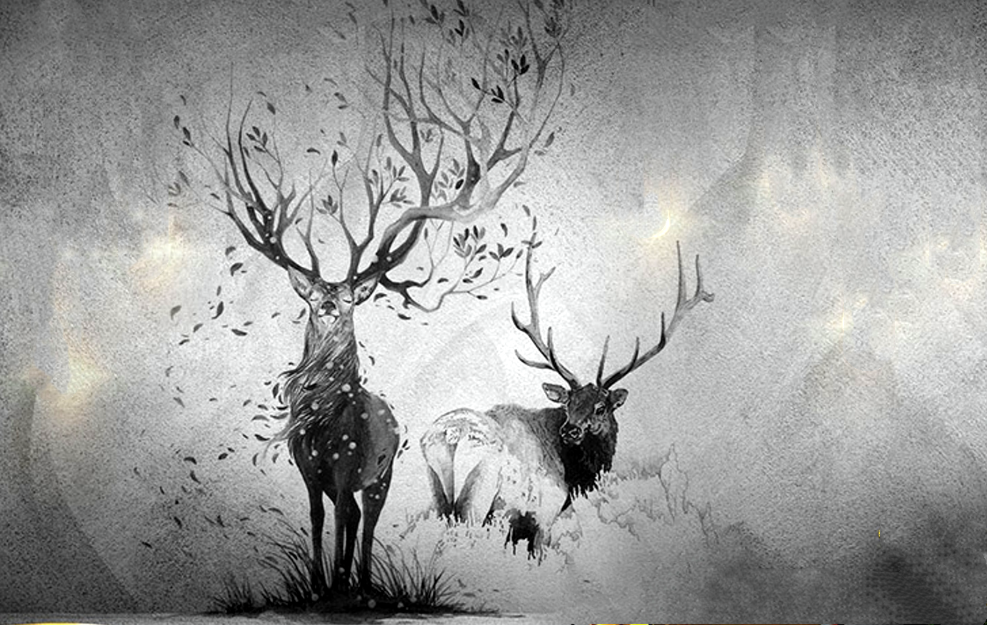 禽倌|运用好关键特长，这俩星座便能更好、更快地让自己发光发热