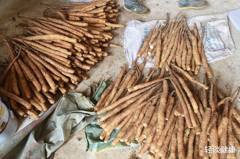 轻谈健康|娃脾胃不好“别吃”葡萄？医生：若想脾胃健康，3种食物不妨多吃